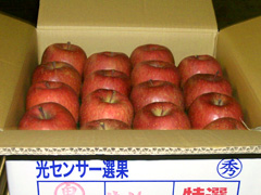 りんご