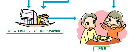 流通経路イメージ図