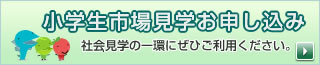 小学生市場見学お申し込み　社会見学の一環にぜひご利用ください。