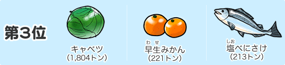 第3位　野菜（やさい）大根（1,562トン）　果物（くだもの）サンふじリンゴ（462トン）　魚（さかな）さば（325トン）
