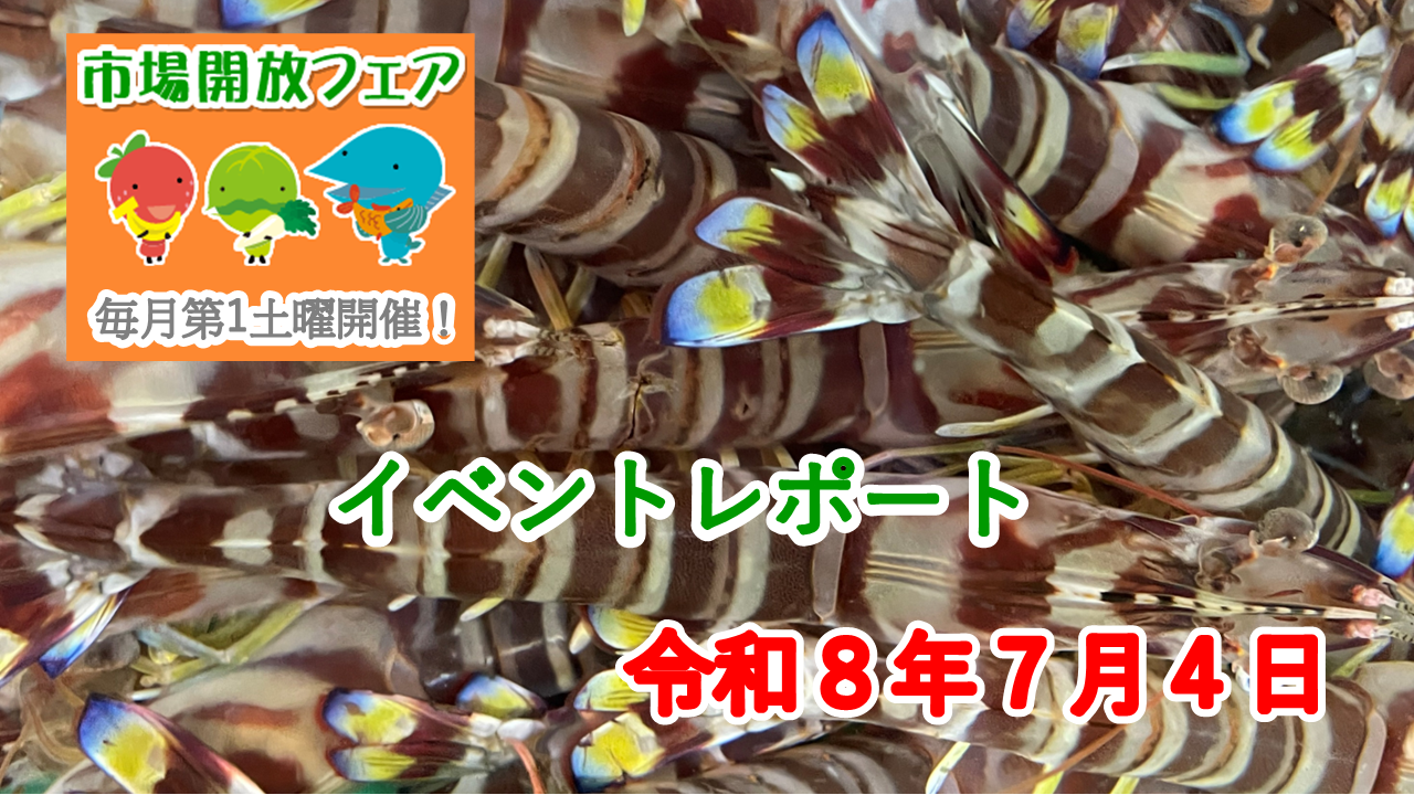７月４日（土）に市場開放フェアを開催しました