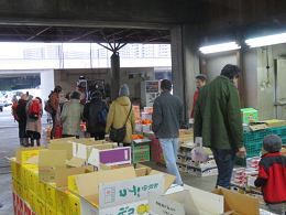 1月12日土曜日市場開放フェアが開催されました