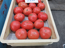 7月6日土曜日市場開放フェアが開催されました