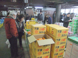 2月1日(土)に市場開放フェアを開催しました。