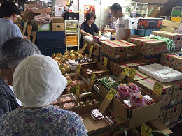 7月1日（土）に市場開放フェアが開催されました。