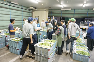 神果神戸青果 株式会社 尼崎支社