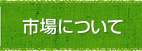 市場の概要