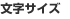 文字サイズ