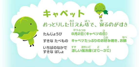 キャベット　おっとりした甘えん坊で、寝るのがすき　誕生日：8月2日（キャベツの日）　好きな食べ物：キャベツたっぷりのお好み焼き、お鍋　市場の中で好きな場所 :涼しい保冷庫（2℃～3℃）