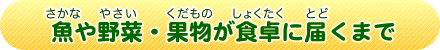 魚（さかな）や野菜（やさい）・果物（くだもの）が食卓（しょくたく）に届（とど）くまで