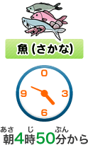 魚（さかな）　あさ 4じ 50ふん から