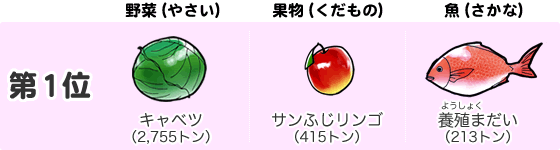 第1位　野菜（やさい）キャベツ（2,755トン）　果物（くだもの）サンふじりんご（415トン）　魚（さかな）養殖まだい（213トン）