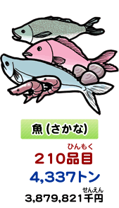 魚（さかな）　210品目（ひんもく） 4,337トン　3,879,821千円（せんえん）