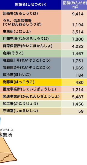 卸売場（おろしうりば）9,414平方メートル　うち、低温卸売場（ていおんおろしうりば）1,194平方メートル　事務所（じむしょ）3,514平方メートル
仲卸売場（なかおろしうりば）7,800平方メートル　買荷保管所（かいにほかんしょ）4,233平方メートル　倉庫（そうこ）1,467平方メートル　冷蔵庫１号（れいぞうこ1ごう）1,751平方メートル　冷蔵庫2号（れいぞうこ2ごう）1,669平方メートル　保冷庫（ほれいこ）184平方メートル　発酵庫（はっこうこ）480平方メートル　指定事業所（していじぎょうしょ）1,214平方メートル　関連事業所（かんれんじぎょうしょ）5,487平方メートル　加工場（かこうじょう）1,456平方メートル　守衛室（しゅえいしつ） 59平方メートル