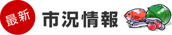 最新　市況情報