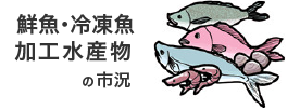 鮮魚・冷凍魚・加工水産物の市況